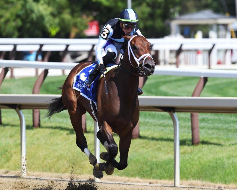 BREEDERS CUP PREVIEW An evening of star power and star