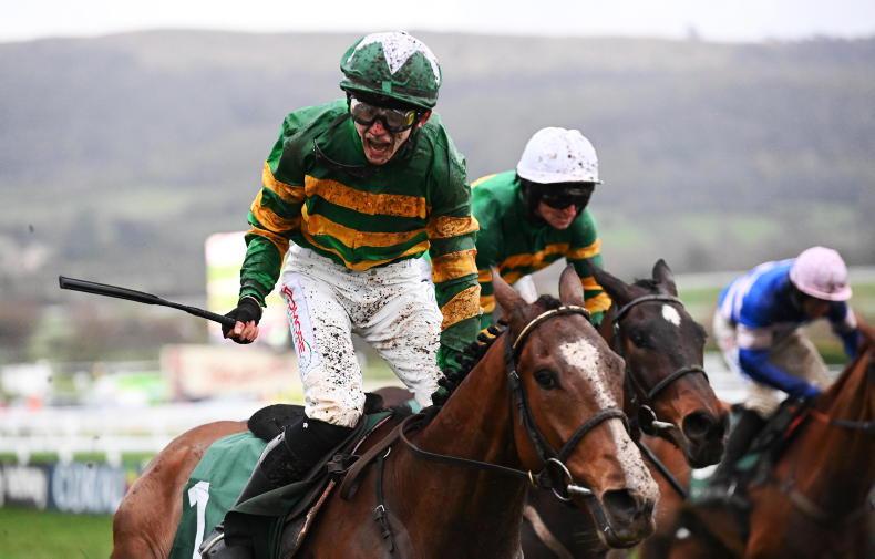 Henry De Bromhead Calls Out Matt Chapman After Honeysuckle Win