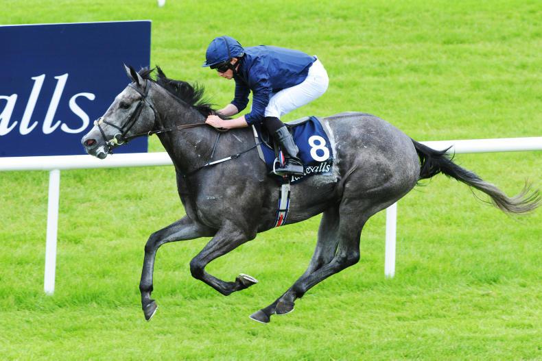 CARTIER RACING AWARDS Winter leads Horse of the Year race 28 June