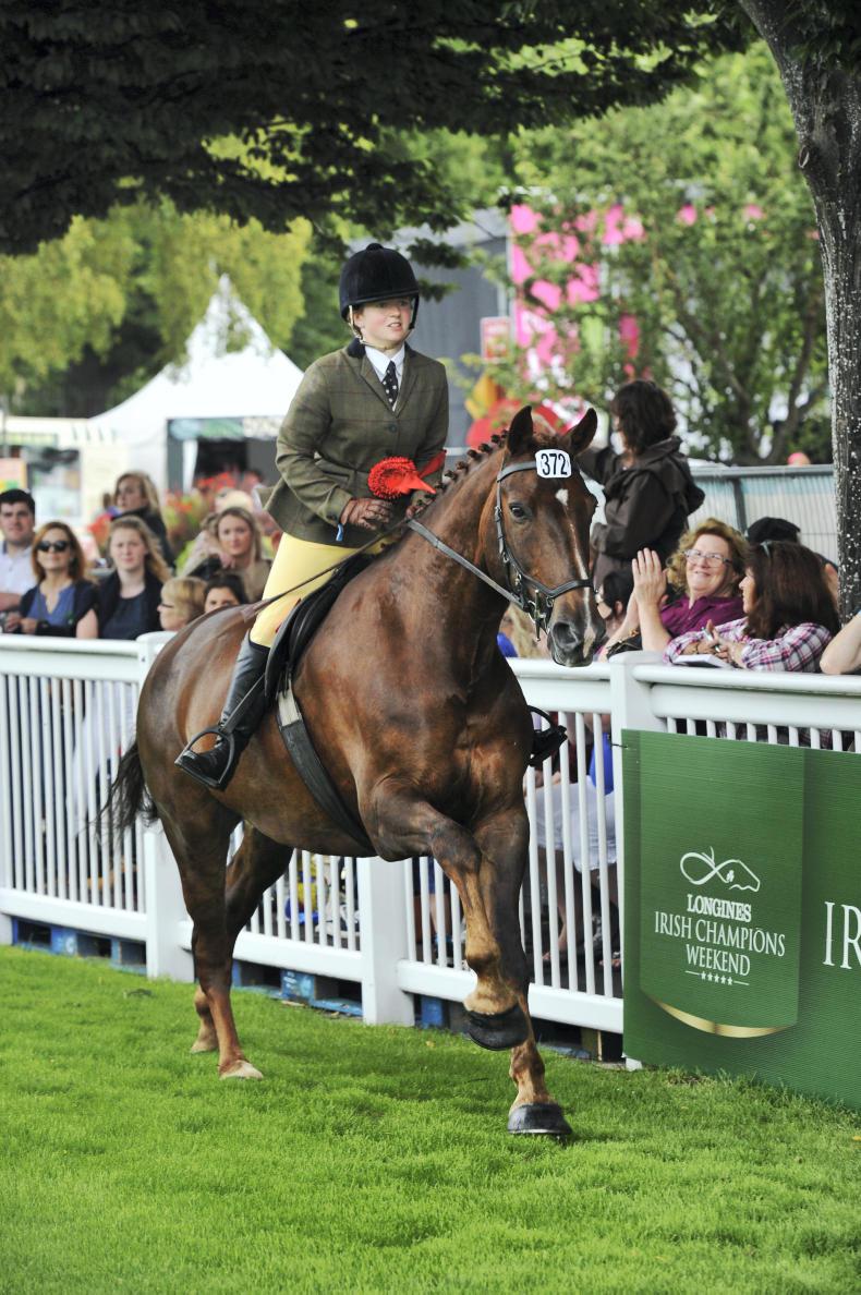 DUBLIN HORSE SHOW 2017 Last year s champion could reign once more