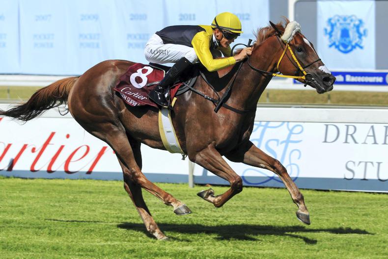 BREEDING INSIGHTS Hassetts celebrate Group 1 success 17 January