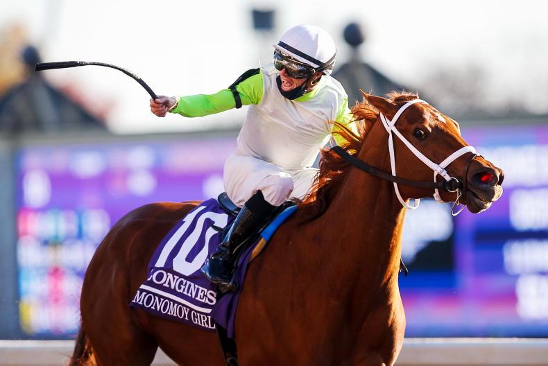 BREEDERS CUP Monomoy Girl still the top lady 13 November 2020