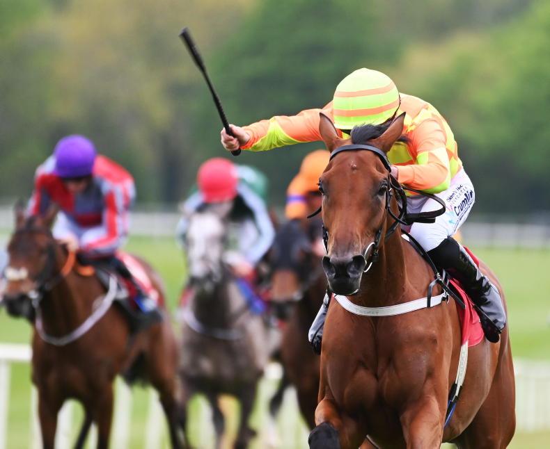 GOWRAN PARK: Fine start for Gesture in Vintage Tipple 05 May 2023 Free