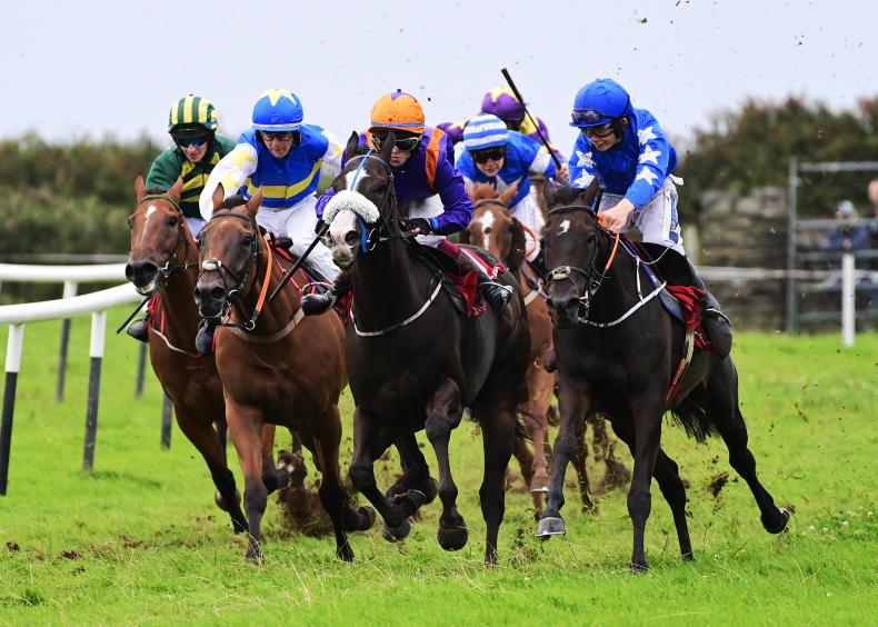 DINGLE RACES A Golden day for Dylan 18 August 2023 Free