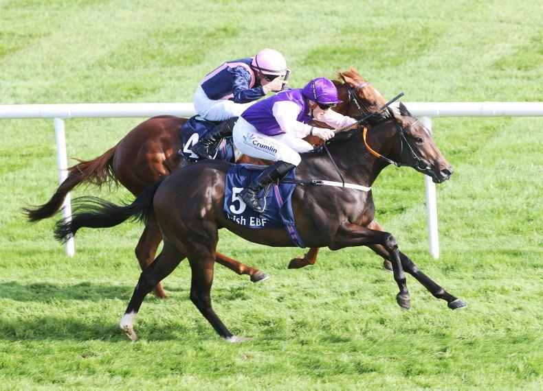 BREEDING INSIGHTS King Cuan reigns again at Naas 20 October 2023 Free