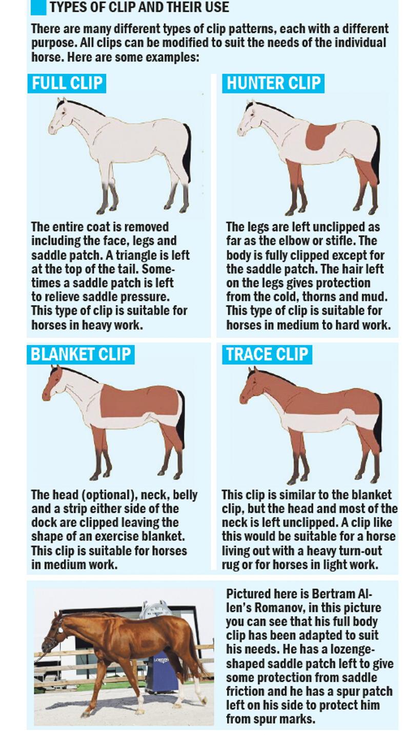 Types of horse clips
