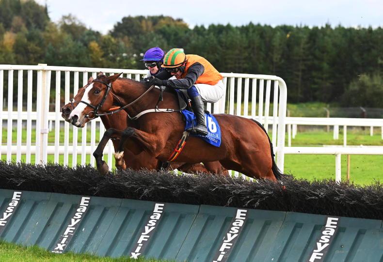 Limerick punters can't resist the lure of Cheltenham - Limerick Live